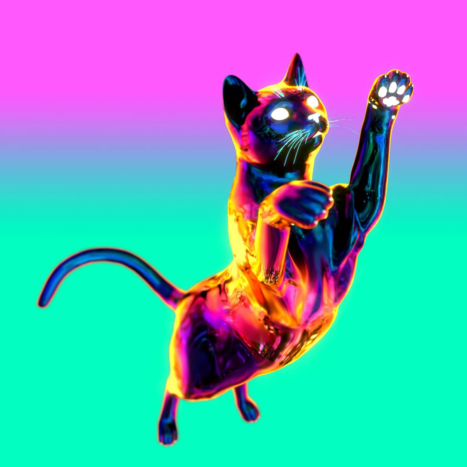 cat2.jpg