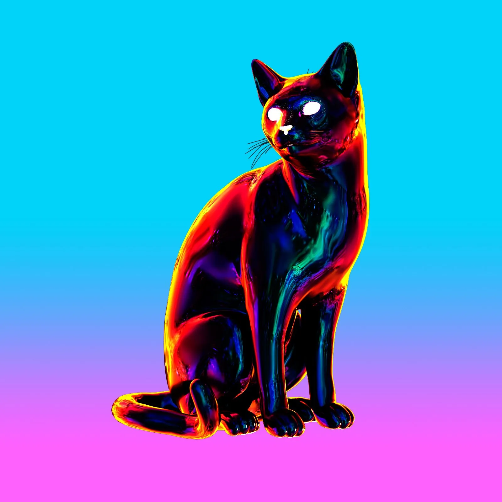 cat3.jpg