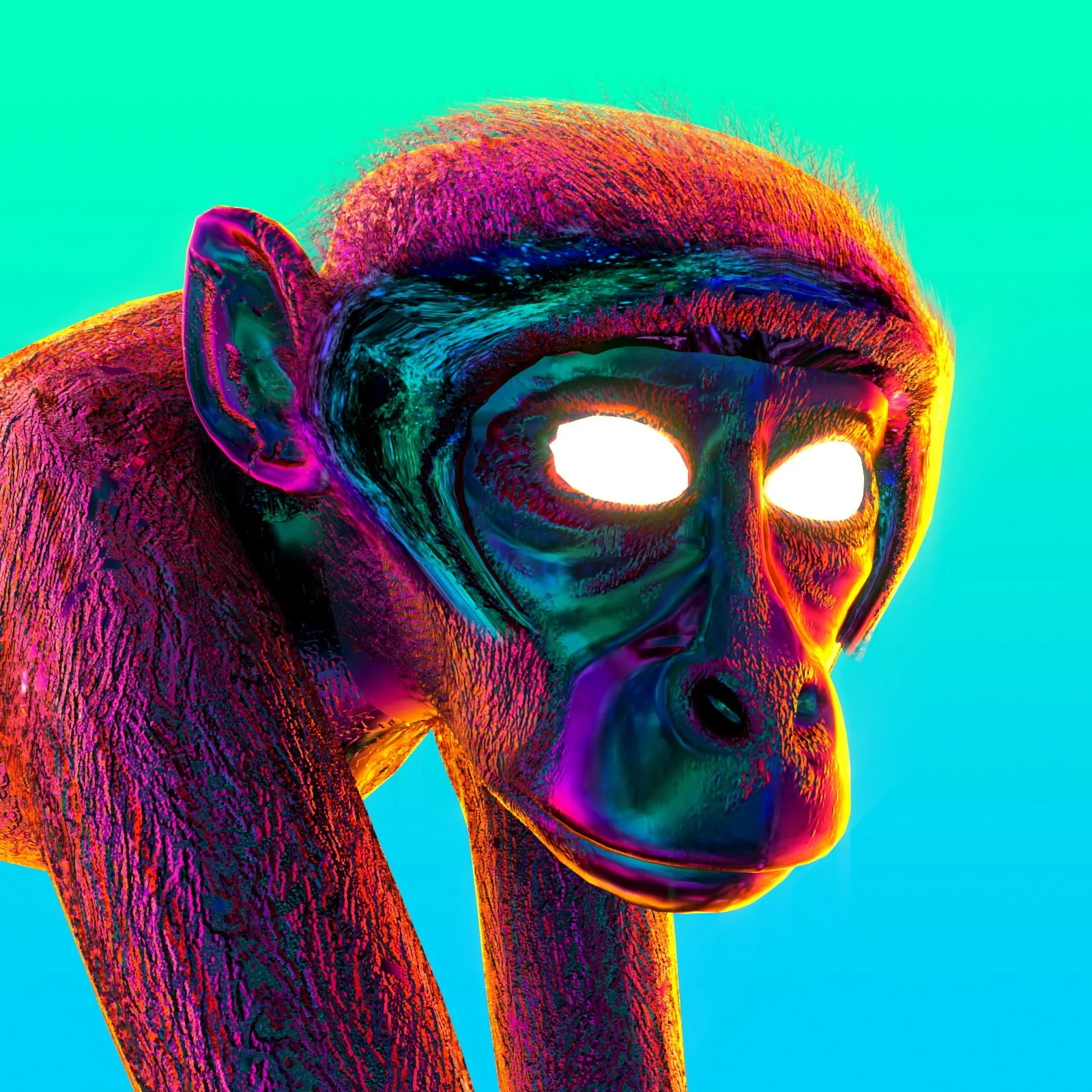 monkey2.jpg