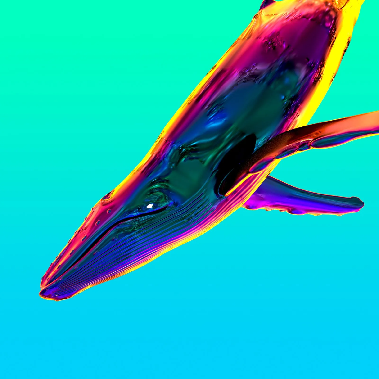 whalie2.jpg